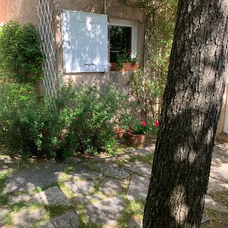 Charmante Au Calme Proche De Montpellier, Et Rivière Animaux Acceptés