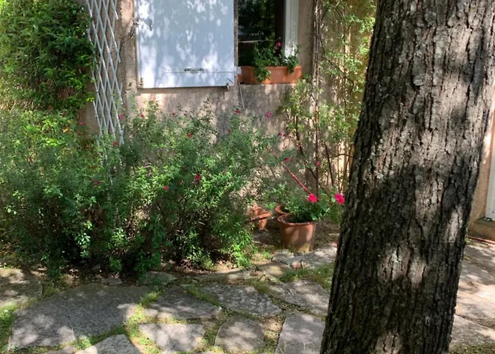 Charmante Au Calme Proche De Montpellier, Et Rivière Animaux Acceptés